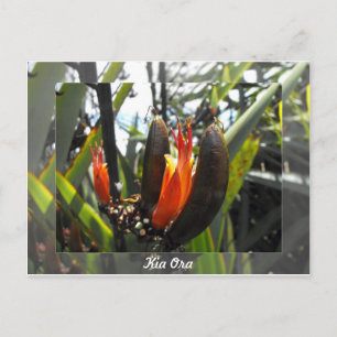 Neuseeländische Flachsblüten Postkarte