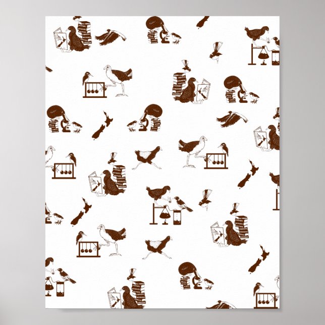 Neuseeländische Vogelwissenschaftler Poster (Vorne)
