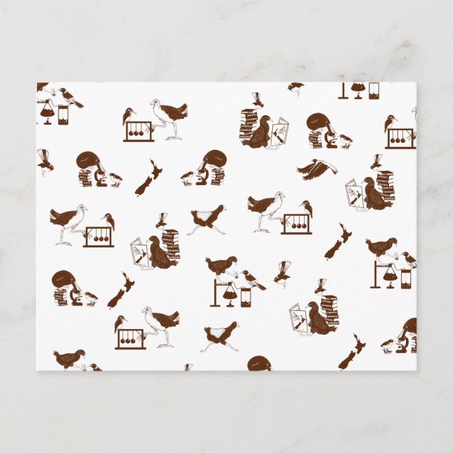 Neuseeländische Vogelwissenschaftler Postkarte (Vorderseite)