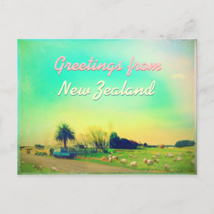 Neuseelands Schafhöfe Postkarte