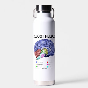 Neustarten des benötigten Brain Anatomy Geek Spaße Trinkflasche
