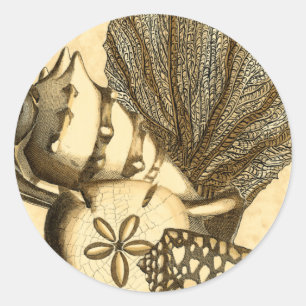 Neutrale Muscheln und korallenrote Sammlung Runder Aufkleber