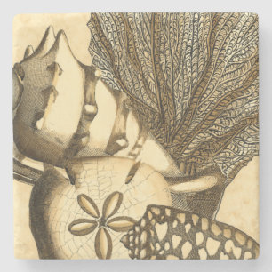 Neutrale Muscheln und korallenrote Sammlung Steinuntersetzer