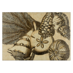 Neutrale Muscheln und Korallensammlung Schneidebrett