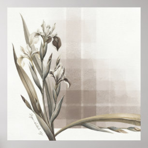 Neutraler Tartan Elfenbein Schwertlilie Botanische Poster