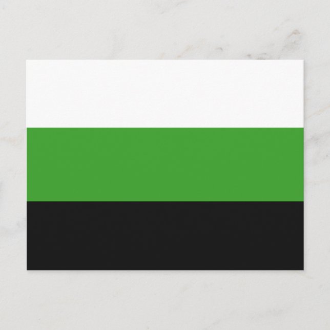 Neutrois Pride Flag Postkarte (Vorderseite)