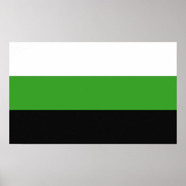 Neutrois-Pride Poster (Vorne)