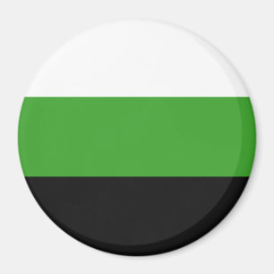 Neutrois-Stolzflagge Magnet