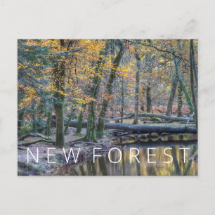 Neuwald Postkarte