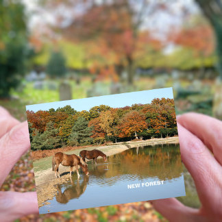 Neuwald Postkarte