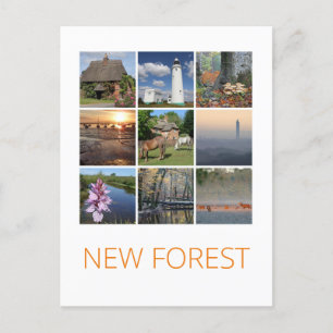 Neuwald Postkarte