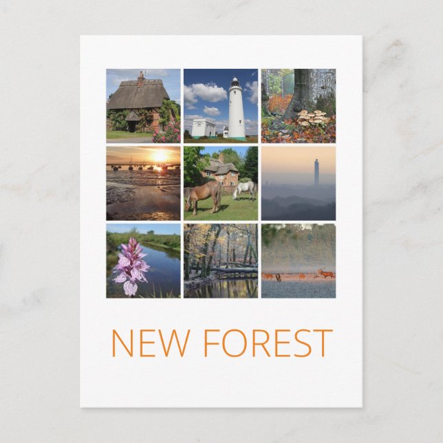 Neuwald Postkarte (Vorderseite)