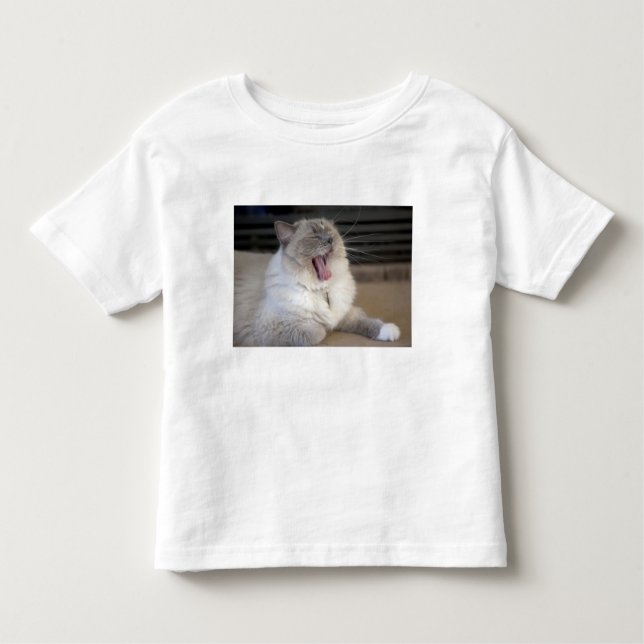 Neva Masquerade Katze gräbt Kleinkind T-shirt (Vorderseite)