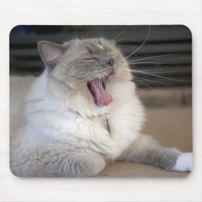 Neva Masquerade Katze gräbt Mousepad (Vorne)