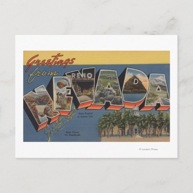 Nevada (Staat Hauptstadt/Blume) Postkarte (Vorderseite)