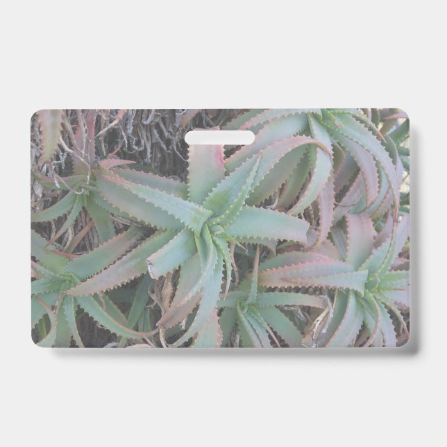 Nevada sukculi ausweis (Vorderseite)