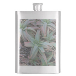 Nevada sukculi flachmann