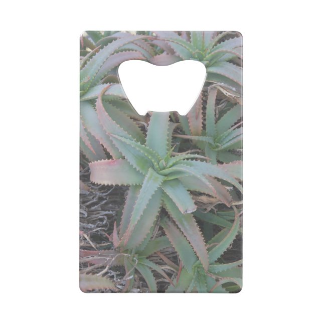Nevada sukculi geldbeutel flaschenöffner (Vorderseite)