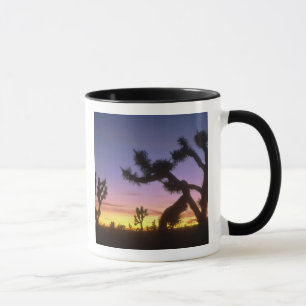 NEVADA. USA. Josua-Bäume Yucca brevifolia) Tasse