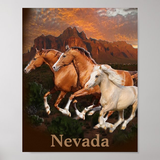 Nevada Wild Horses Poster (Vorne)