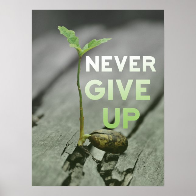 Never Give up Poster (Vorne)