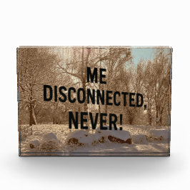 Never Not Connected — Forest Block