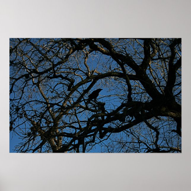 Nevermore Poster (Vorne)