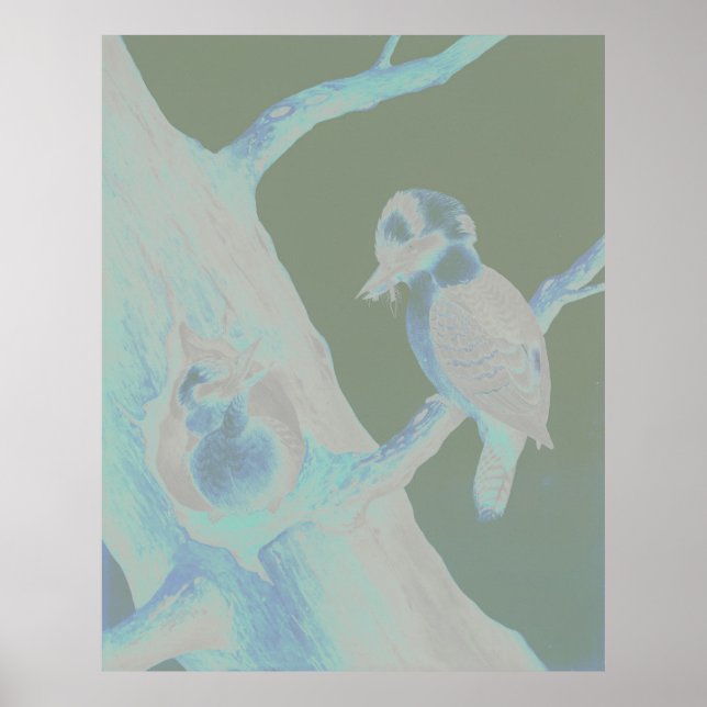 Neville HP Cayley - Laughing Kookaburra Poster (Vorne)