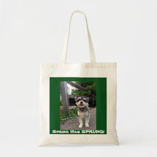 *NEW* 2015 Frühling ist ENTSPRUNGEN! Karmin Tragetasche