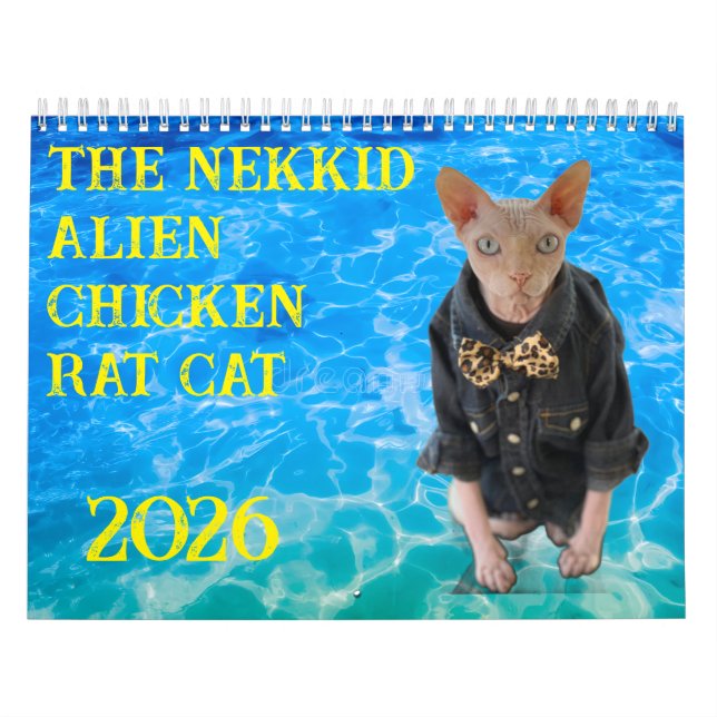 New 2026 Calendar Kalender (Titelbild)