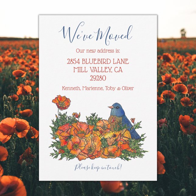 New Address Ankündigung von Bluebird (Bluebird moving new address announcement cards.)