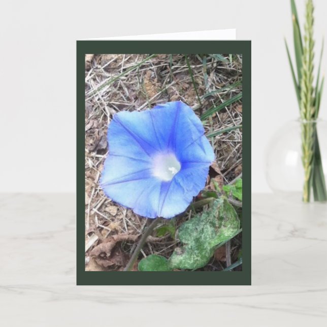 New Blue Morning Glory Blank Karte (Vorderseite)