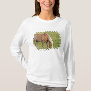 New Brunswick, Kanada. Pferd im Feld. T-Shirt