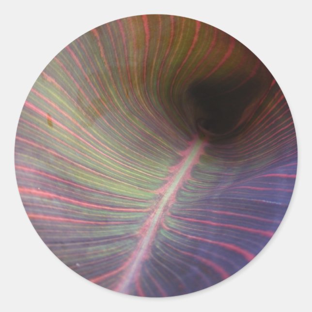 New Canna Leaf ~ Aufkleber (Vorderseite)