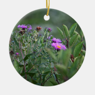 New England Aster Blume Ornament