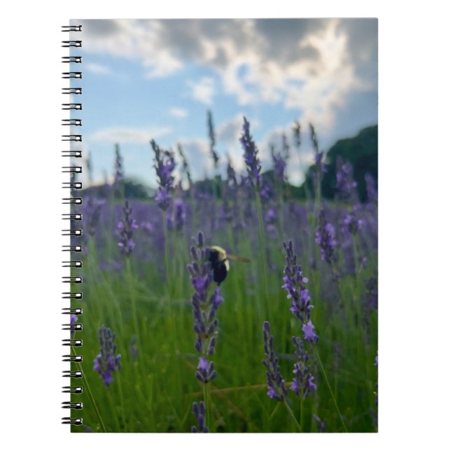 New England Blume Foto Notizblock (Vorderseite)