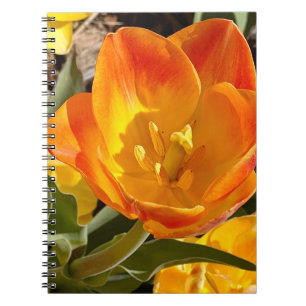 New England Blume Foto Notizblock
