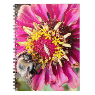 New England Blume Foto Notizblock