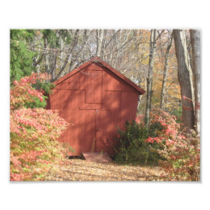 New England Corn Crib Foto Print