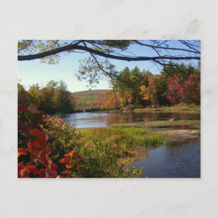 New England Fall Pond Postkarten