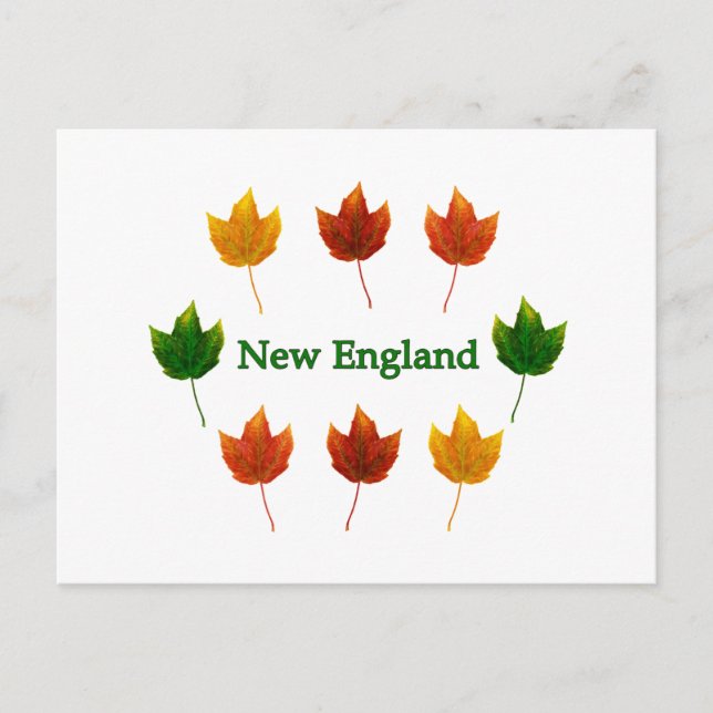 New England Herbstlaube Postkarte (Vorderseite)