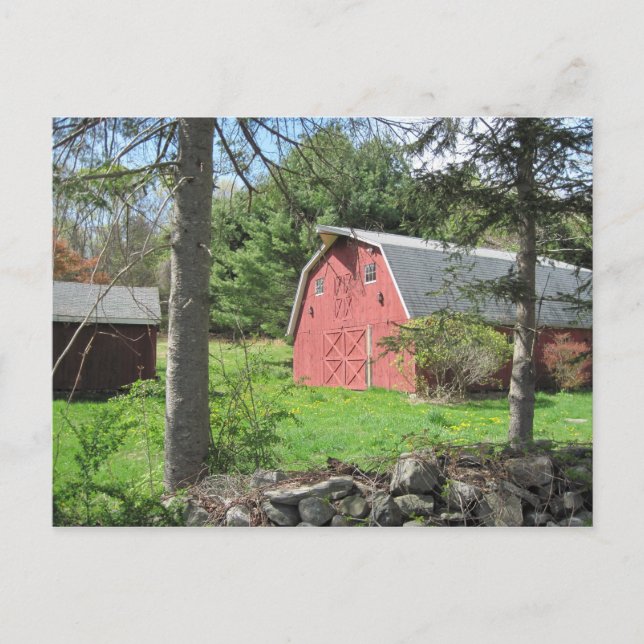 New England Scheune Postkarte (Vorderseite)