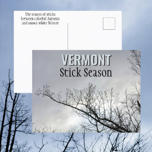 New England Stick Season Vermont Fotografie Postkarte