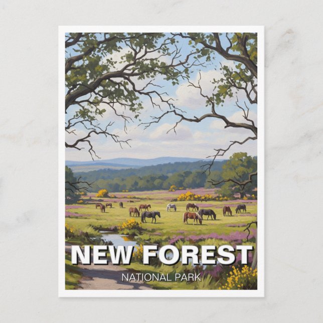New Forest National Park Travel Postkarte (Vorderseite)