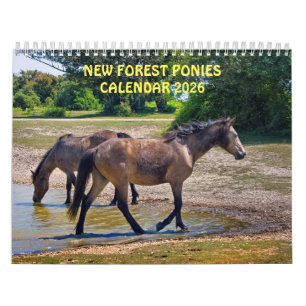 New Forest Ponies Calendar Kalender