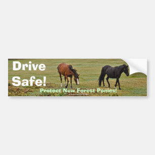 New Forest Ponies of Hampshire England Autoaufkleber