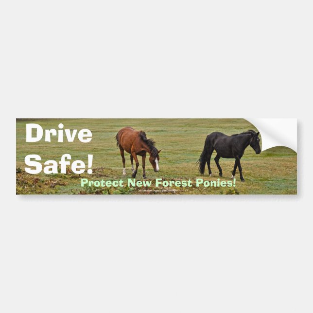 New Forest Ponies of Hampshire England Autoaufkleber (Vorne)