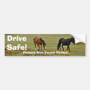 New Forest Ponies of Hampshire England Autoaufkleber