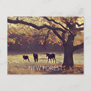 New Forest Ponies Postkarte