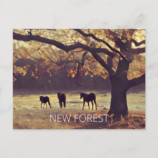 New Forest Ponies Postkarte